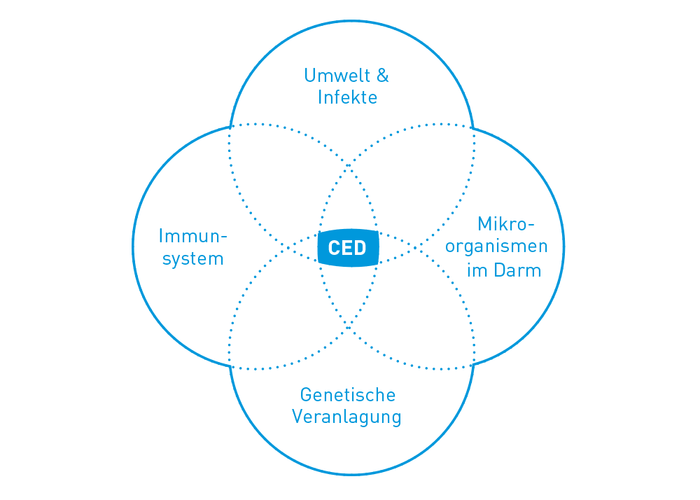 Risikofaktoren fÃ¼r chronisch entzÃ¼ndliche Darmerkrankungen (CED)