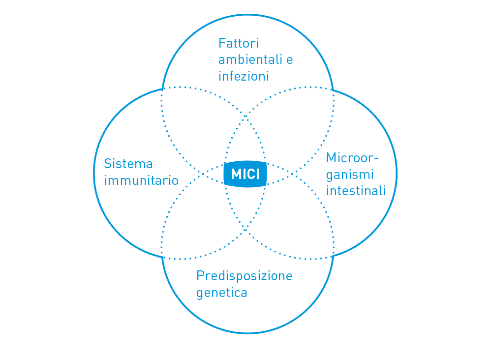 Fattori di rischio per la malattie infiammatorie croniche intestinali (MICI)